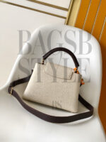 LOUIS VUITTON MASTER CAPUCINES MINI (21*14*8cm) - Image 3