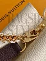 LOUIS VUITTON MASTER CAPUCINES MINI (21*14*8cm) - Image 5