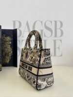 LADY DIOR D – LITE BEIGE PARIS. Size: :24 x 11 x 20cm - Image 5