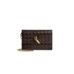 BOTTEGA VENETA ANDIAMO POUCH ON CHAIN 844107VCPP22190 (19 × 12.5 × 4 cm)