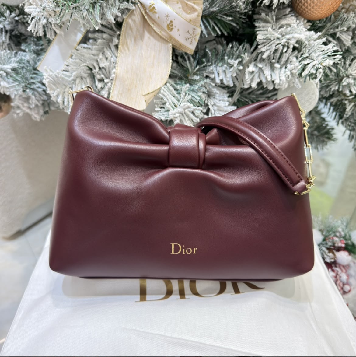 WhatsApp Image 2026-07-20 at 2.51.43 AM DIOR BOW BAG. Size: 26 x 16 x 10 cm - Imagen 1
