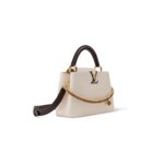 LOUIS VUITTON MASTER CAPUCINES MINI (21*14*8cm)